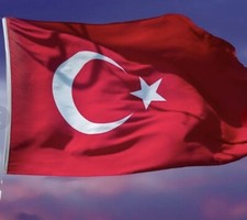 Turkey flag national for sale  BIRMINGHAM