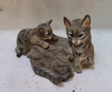 Tabby cat kittens for sale  BRISTOL