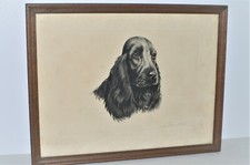 Ancienne lithographie chien d'occasion  Soyaux