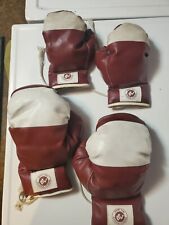 Pairs boxing gloves for sale  La Porte
