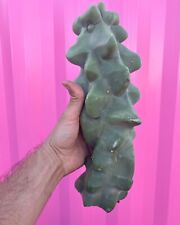 Totem pole obesa for sale  Scottsdale