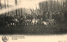 Chasse courre equipages d'occasion  Pontailler-sur-Saône
