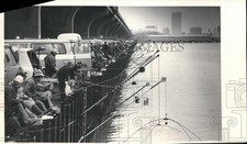 1983 press photo for sale  Memphis