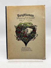 Bergblumen studien ernst gebraucht kaufen Bergblumen studien ernst gebraucht kaufen  Chemnitz