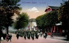 Lockstedt holstein lockstedter gebraucht kaufen  Berlin