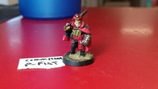 Schmo painted warhammer for sale  Elizabethtown
