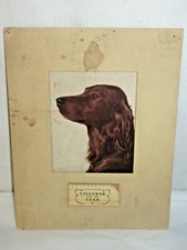 Vintage 1948 dog for sale  Elyria