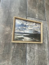Gold frame peter for sale  BROUGH