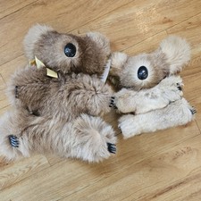 Australia real kangaroo for sale  HORSHAM