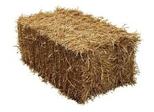 Fleet farm barley for sale  FLEETWOOD