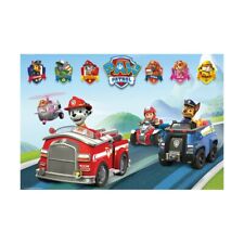 Poster ufficiale paw usato  Guidonia Montecelio