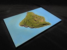 Topographical raised relief for sale  Chicago