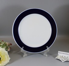 Rosenthal tapio wirkkala gebraucht kaufen  Selb