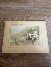Photo ancienne attelage d'occasion  Saint-Jean-en-Royans