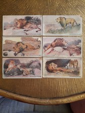Stollwerk album 4 gebraucht kaufen  Kaufbeuren