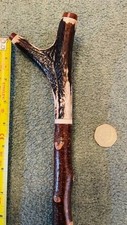 Stag horn thumb for sale  CANONBIE