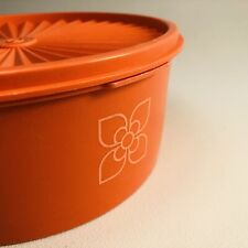 Vintage tupperware 70er gebraucht kaufen  Winsen