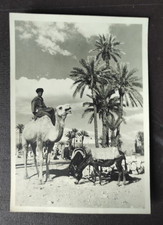 jacadi voyage afrique d'occasion jacadi voyage afrique d'occasion  Decazeville