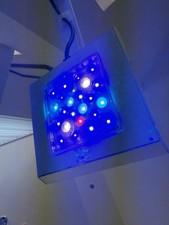 Meerwasser led reef gebraucht kaufen  Weissach im Tal