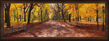 Peter lik central for sale  Portland