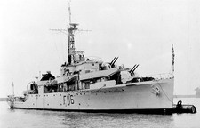 Royal navy black for sale  WATERLOOVILLE