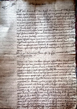 Siena bargagli pietro usato  Nettuno