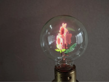 Usado, Aerolux Style Neon Glow Lampe Birne-THE FLOWERS---E27-220 V- comprar usado  Enviando para Brazil