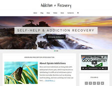 Recovery addiction blog for sale  South Glens Falls
