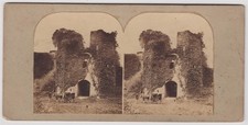 Devon stereoview berry for sale  BATH