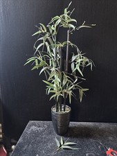 Artificial bamboo plant for sale  RAYLEIGH