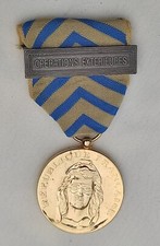 Medaille reconnaissance nation d'occasion  Plombières-lès-Dijon