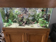 Oak cabinet aqua for sale  WARRINGTON