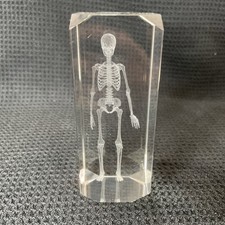 Laser etched skeleton for sale  San Antonio