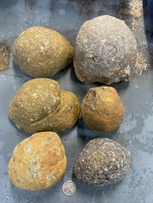 Lbs brazilian agate for sale  Sierra Vista