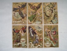 Liebig sammelbilder schmetterl gebraucht kaufen  Klingenberg