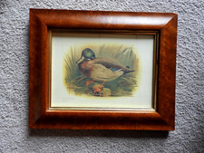 Vintage anas boschas for sale  Aurora
