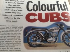 Tiger cub bermuda for sale  BRIGHTON