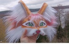 Ginger therian cat for sale  CHATHAM
