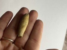 Belemnite fossils for sale  COLCHESTER