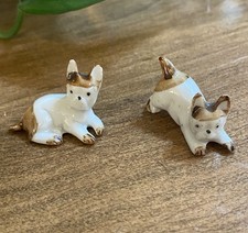 Small ceramic boston for sale  Kingston