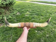 Vintage long professionally for sale  Fishers