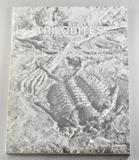 Trilobites thomas johnson for sale  Salt Lake City