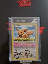 Eevee gradet jason gebraucht kaufen  Kusel-Umland