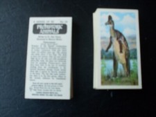 Prehistoric animals full for sale  GREAT YARMOUTH