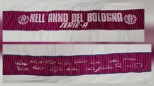 Sciarpa nell anno usato  Villar Focchiardo