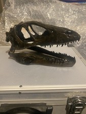 Velociraptor skull display for sale  ST. IVES