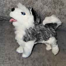 Husky puppy dog for sale  Lawrenceville