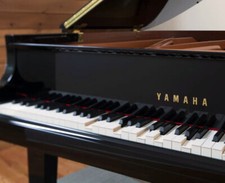 Usado, Piano Bar Favorites for PianoDisc PianoCD PDS-228 CFX PDS-128 Opus7 Player Piano comprar usado  Enviando para Brazil