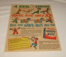 nuts grape for sale nuts grape for sale Wilmington