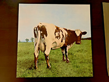 Vinile pink floyd usato  Cesena
